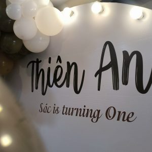 sinh nhật bé Thiên An