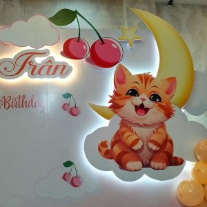 trang trí sinh nhật bé gái chery